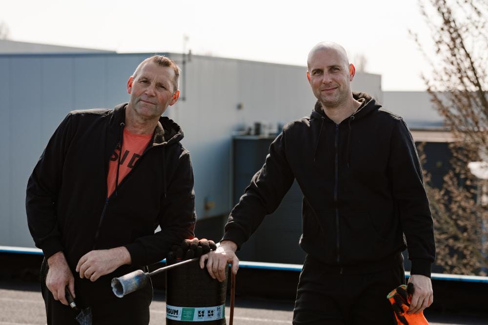 SWOON-Bess-15 Bess dakwerken