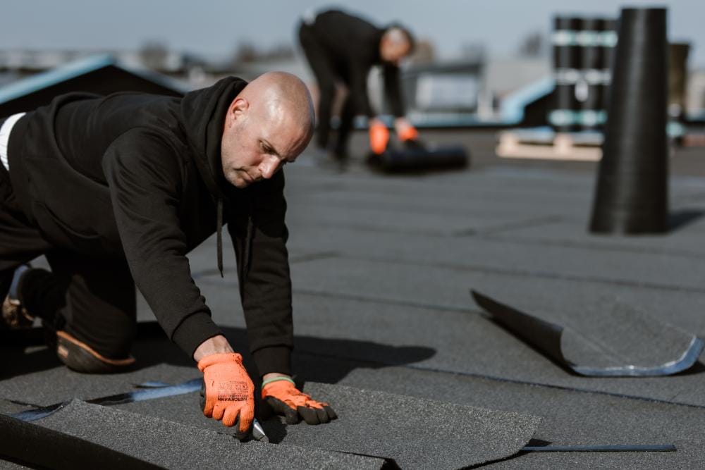 SWOON-Bess-16 Dakbedekking